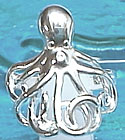 �^�R�����O�@Octopus