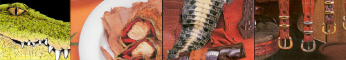 Crocodile Goods